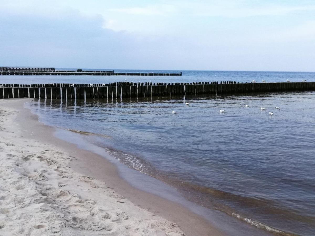 Seaside Premium Apartments Apartament Nadmorski Family Comfort Sailor Ustronie Morskie Zewnętrze zdjęcie